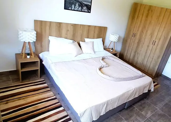 Apartment Friendly -top Location *